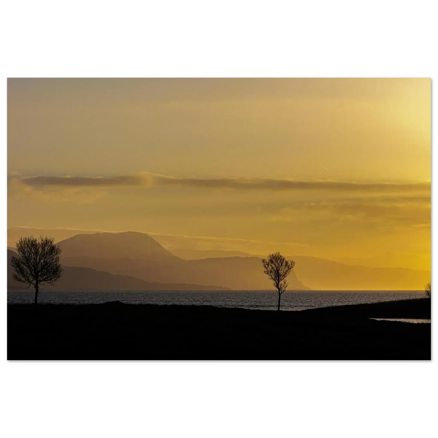 d6dacbc9-3b4b-4549-8ada-9e39ca39ce96