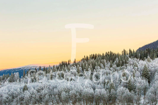 Vinterlys over Baklandet korgen