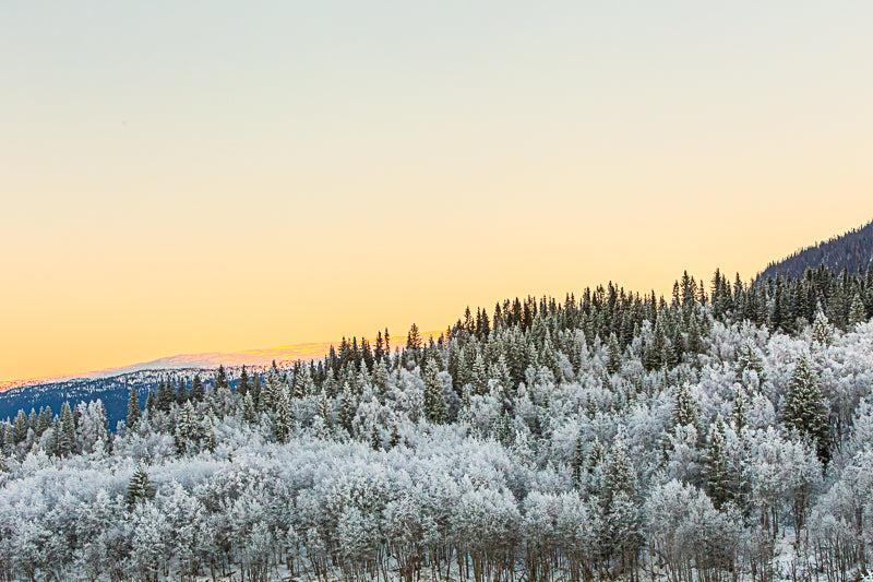 Winter light over the Baklandet basket