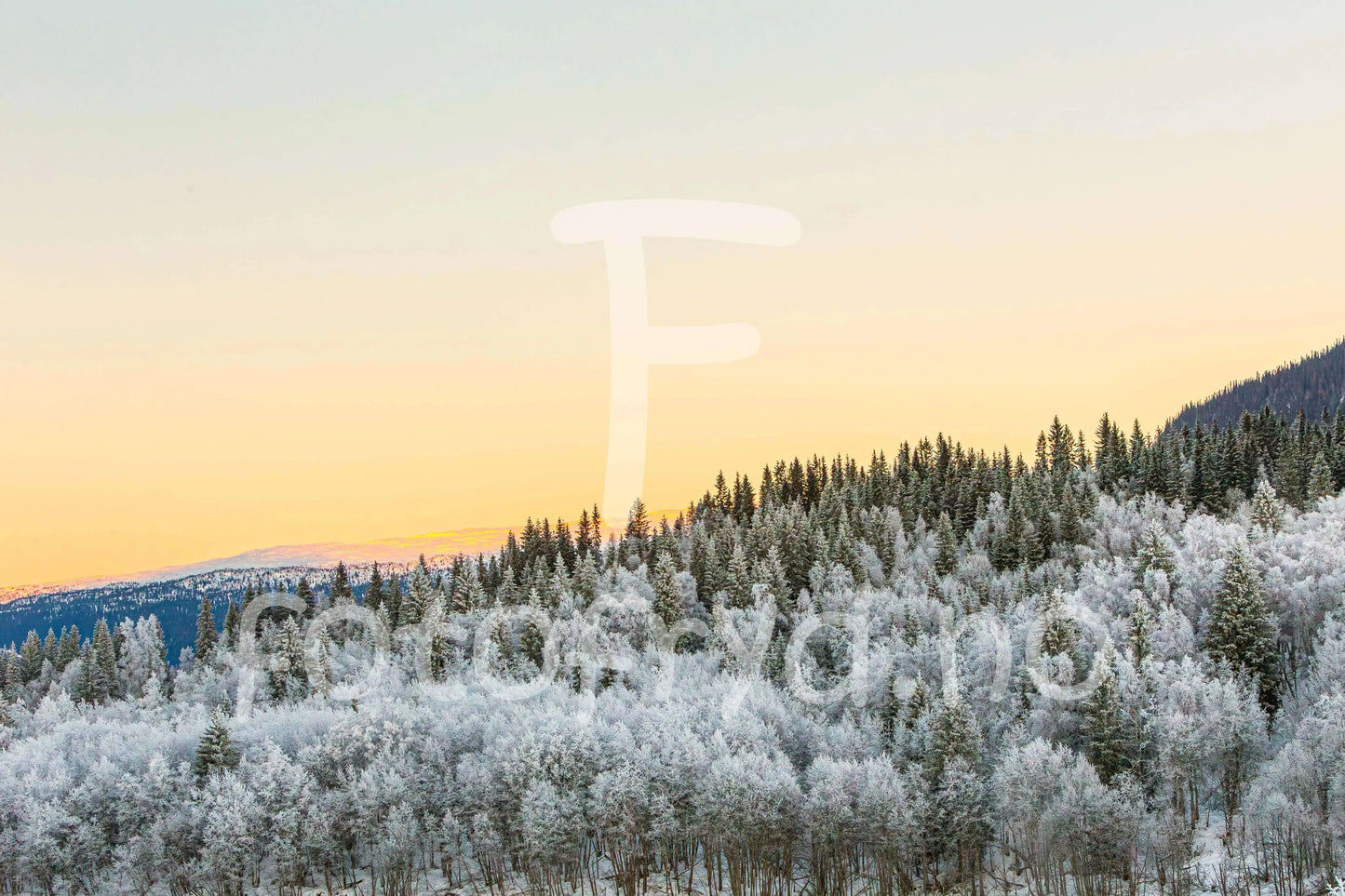 Vinterlys over Baklandet korgen