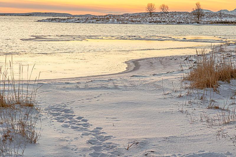 Winter path by the sea – Herøy, Helgeland coast