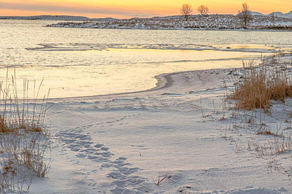 Winter path by the sea – Herøy, Helgeland coast