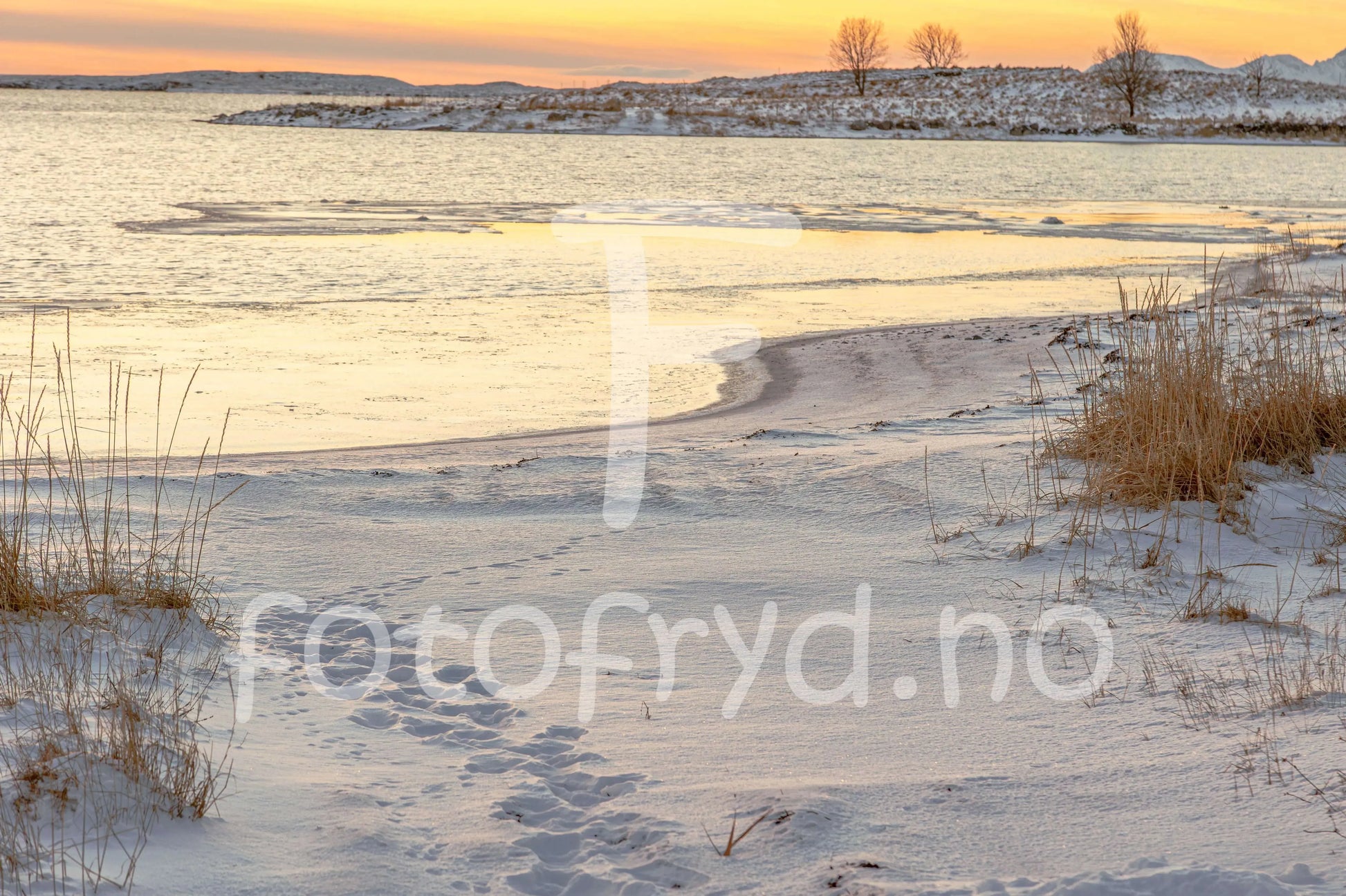 Vintersti ved Havet – Herøy, Helgelandskysten
