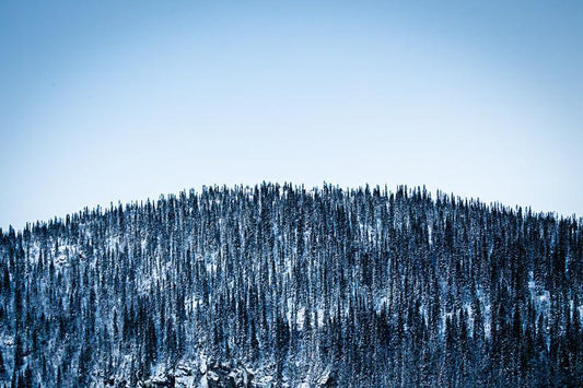 Vinterstillhet – Høghaugen Røvassdalen