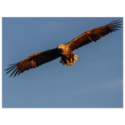 a2376809-a876-4bdb-b2f0-489ddee9c272