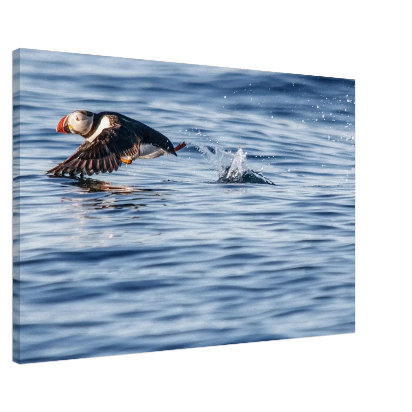 a38cd6b2-9c8c-450d-97c8-7b45bb12ddef