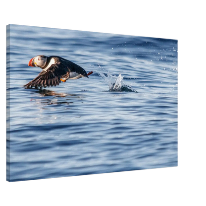 a38cd6b2-9c8c-450d-97c8-7b45bb12ddef