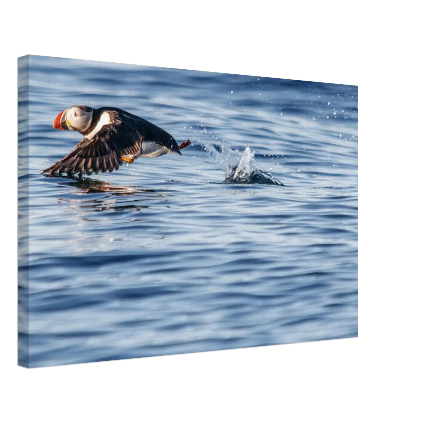 a6bb6ab8-b101-4a84-97a0-a3538928210d