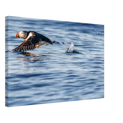 a6bb6ab8-b101-4a84-97a0-a3538928210d