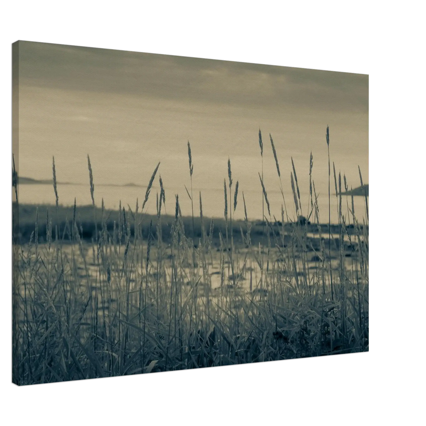 a6bbedb1-c7ed-4cc1-9f02-1dd44c323f77