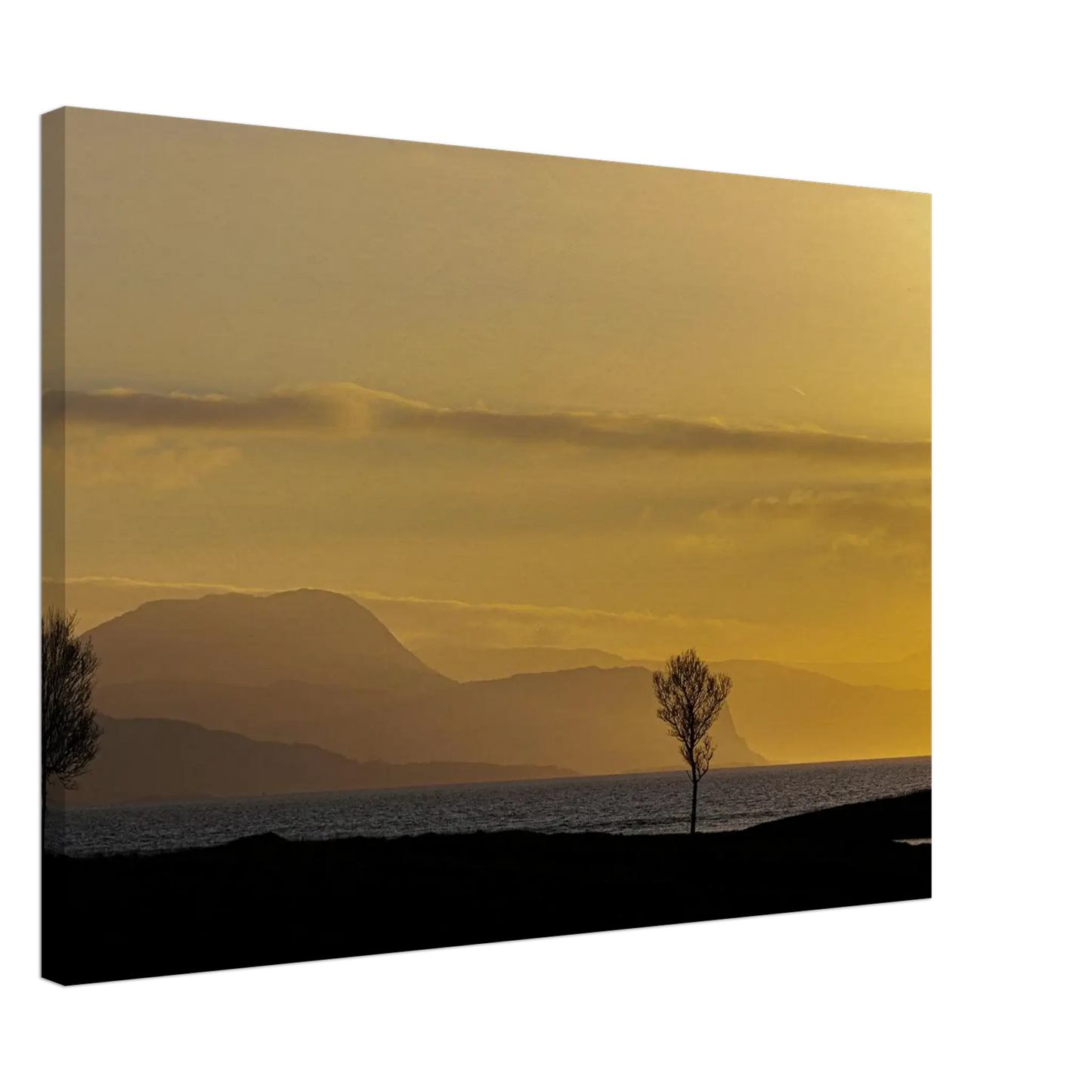 b2c8144f-bdfa-4360-951b-d254cc3f872f