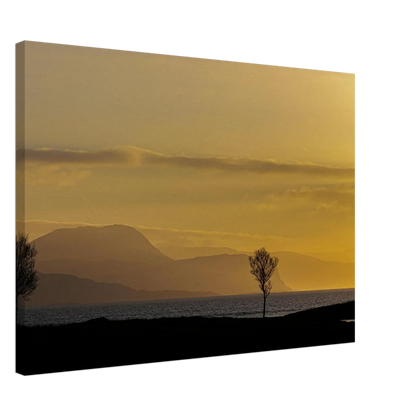 b2c8144f-bdfa-4360-951b-d254cc3f872f