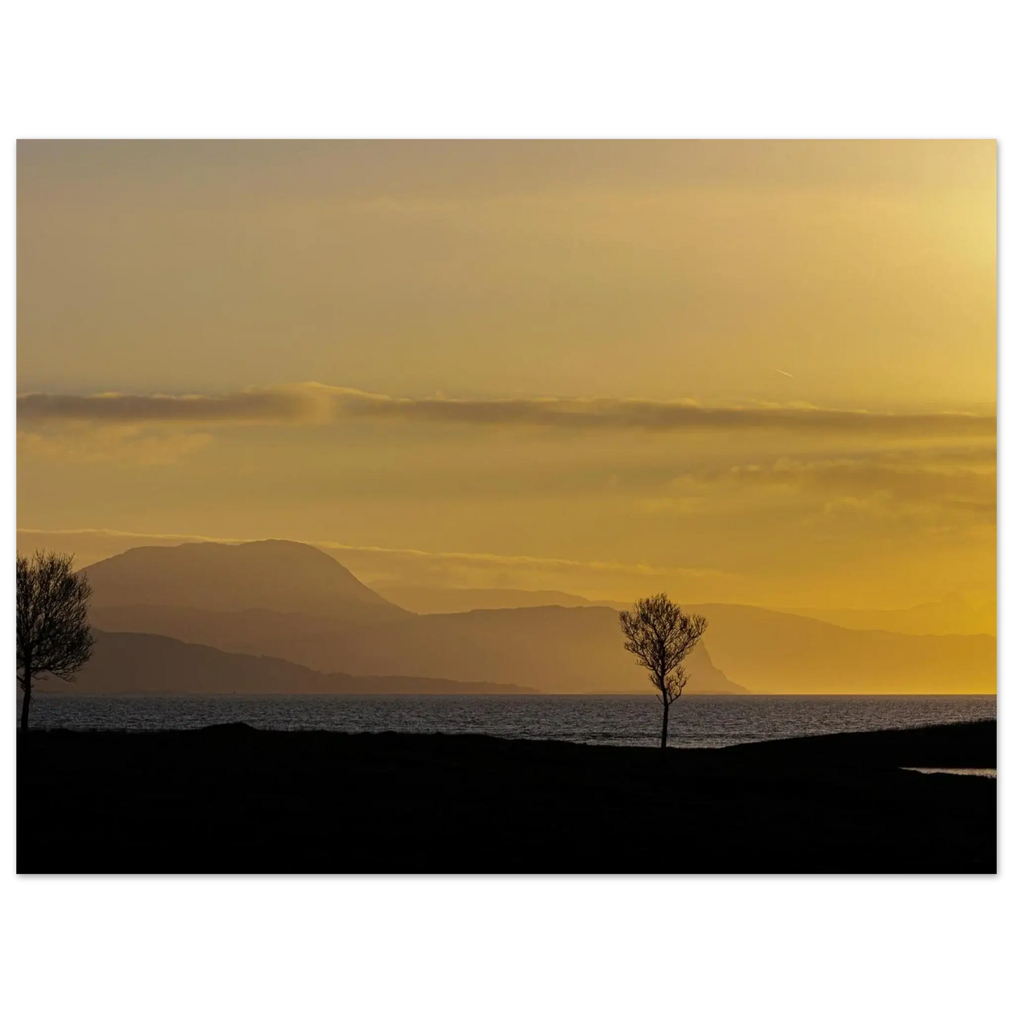 b3cf23fd-3844-4666-a03e-9306870dbbb7