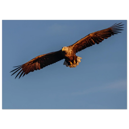 b5f91d82-c47b-4315-bb44-36e751779466