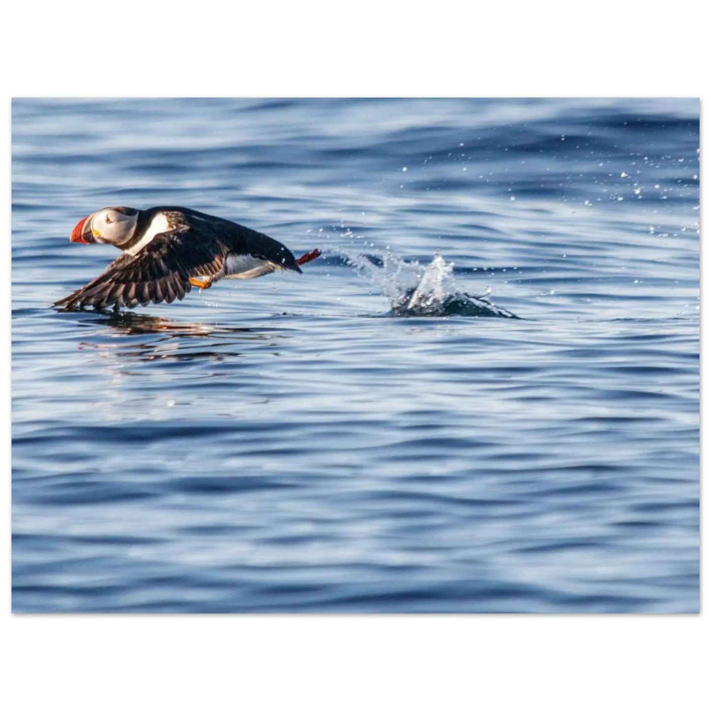 b7f79a56-bad8-4c9c-a26c-0a4d18fd81c3