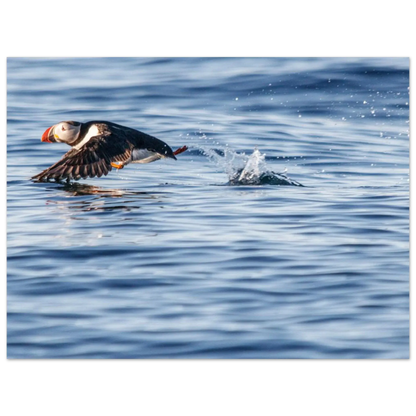 b7f79a56-bad8-4c9c-a26c-0a4d18fd81c3