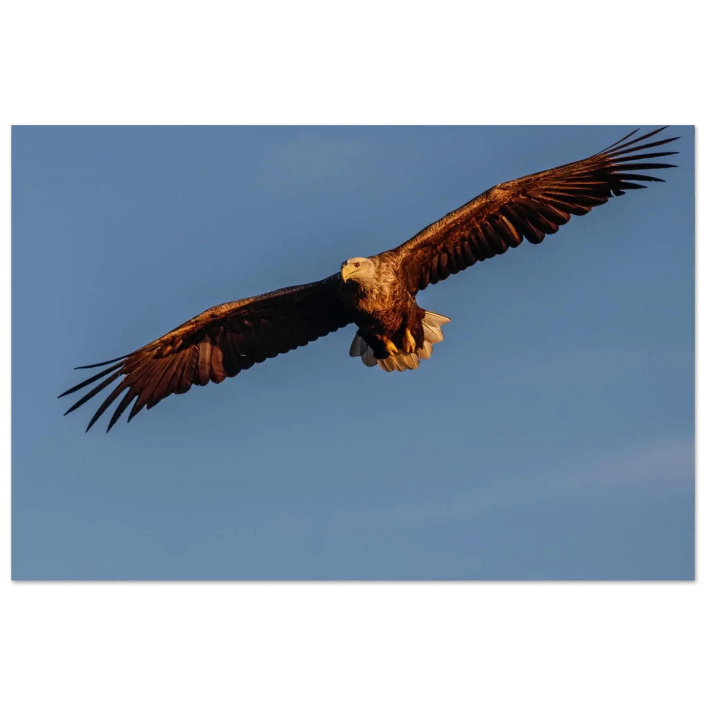 b96d8762-880c-4585-aa0d-37d15dc5c9da