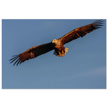 b96d8762-880c-4585-aa0d-37d15dc5c9da