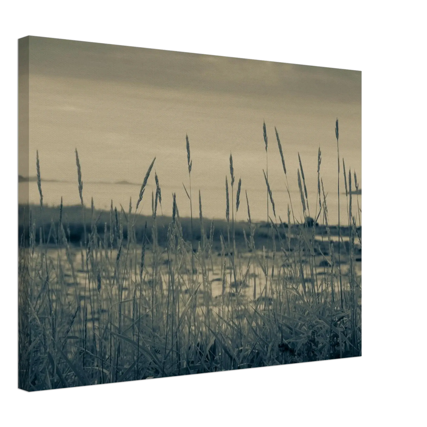 b975bac1-f375-4e93-8223-524013449e64