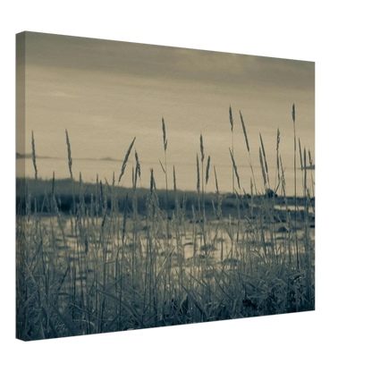 b975bac1-f375-4e93-8223-524013449e64