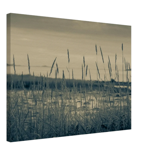 b975bac1-f375-4e93-8223-524013449e64