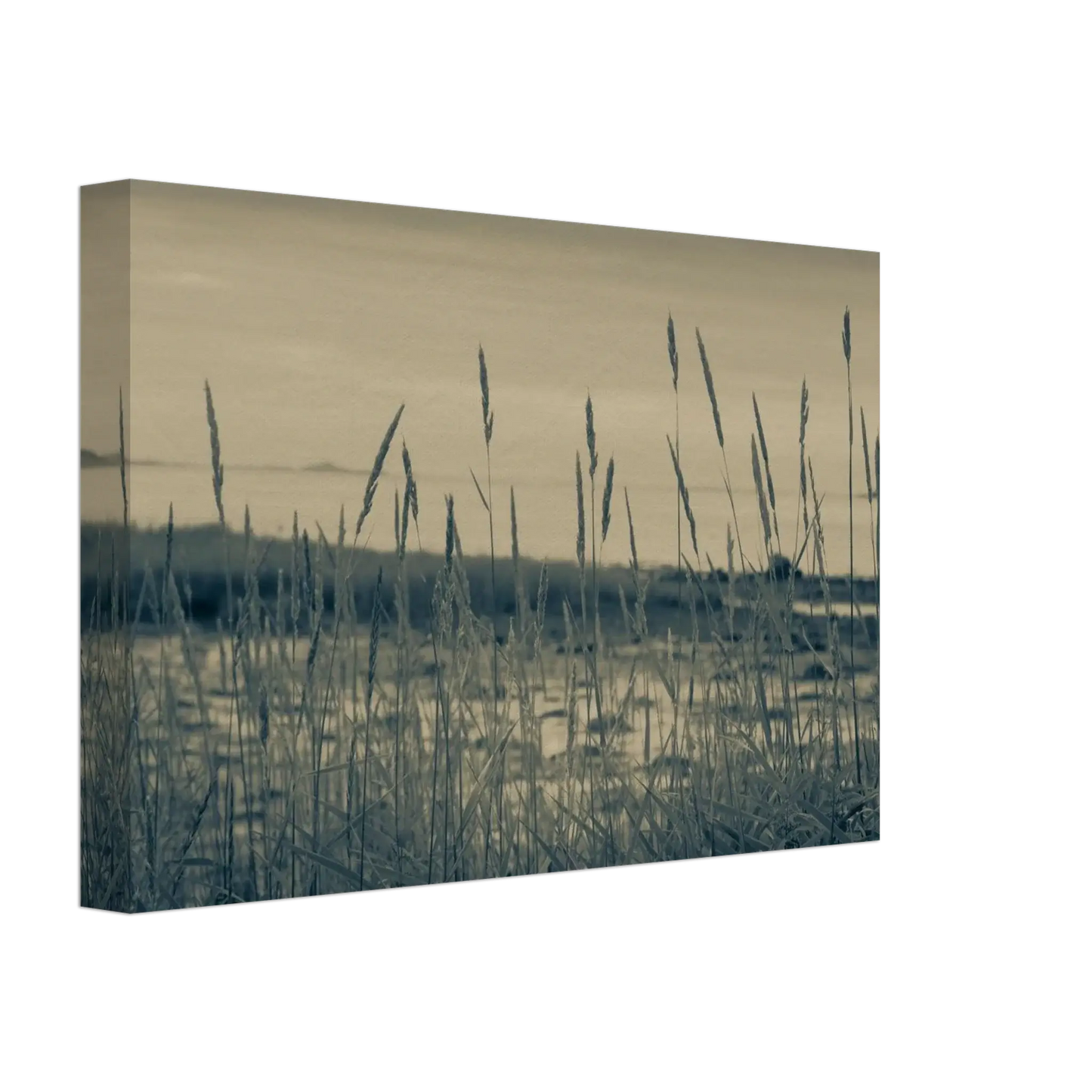 bc513afb-4c71-48b2-9768-9ecdded84eae