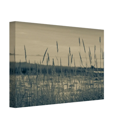 bc513afb-4c71-48b2-9768-9ecdded84eae