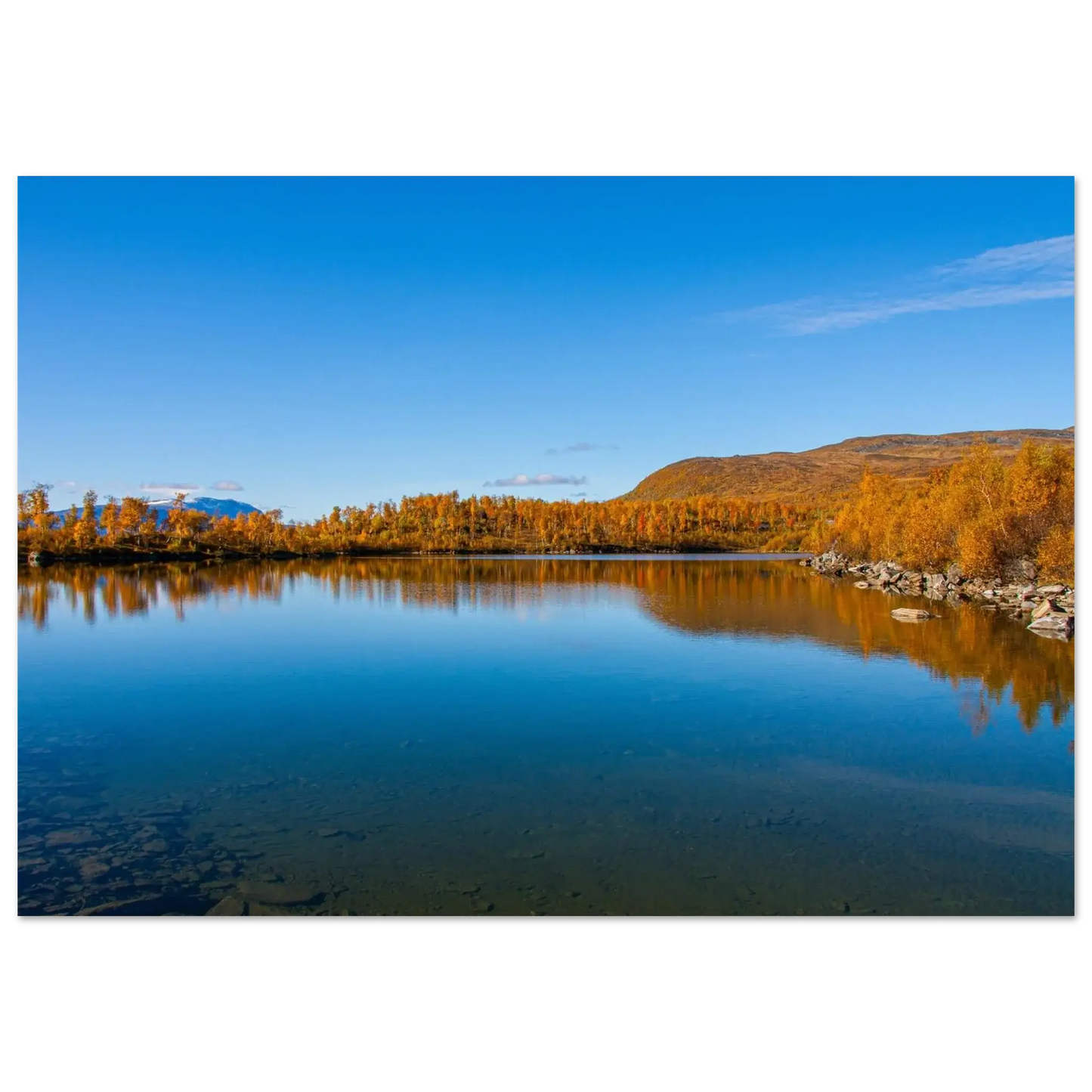 c011eb31-fb2a-47b5-b4b4-23a808af79fe