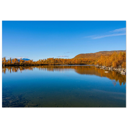 c011eb31-fb2a-47b5-b4b4-23a808af79fe