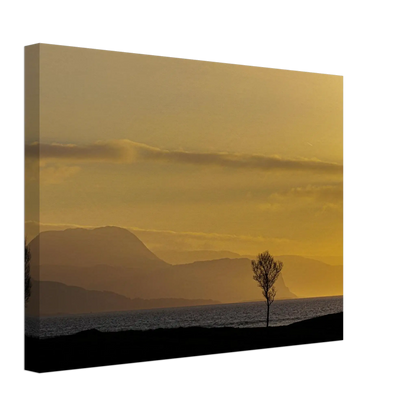 c39a7c34-c6cd-443d-8e5e-4975d0fc9834