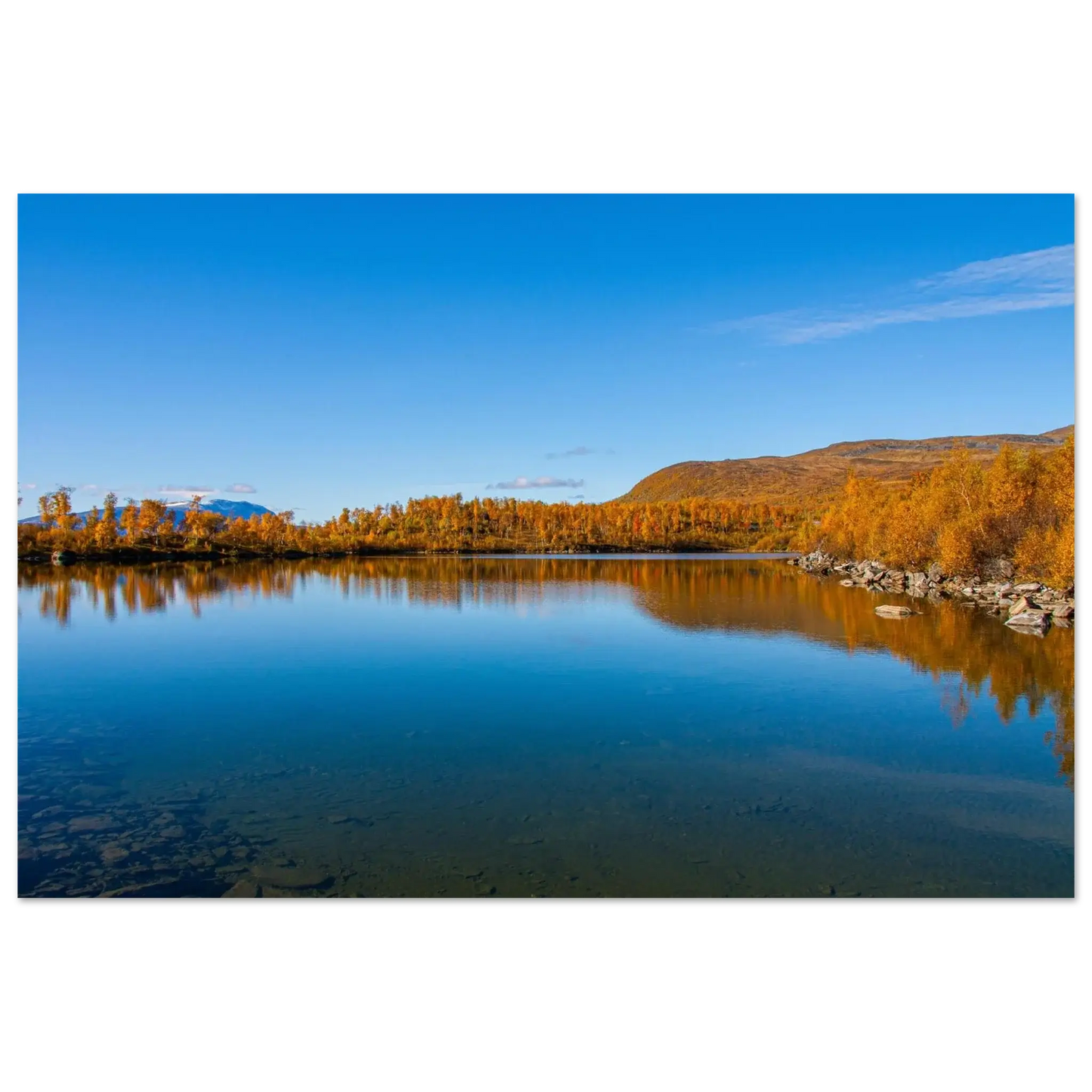 c890db61-c733-4e65-9503-18c7e791289d