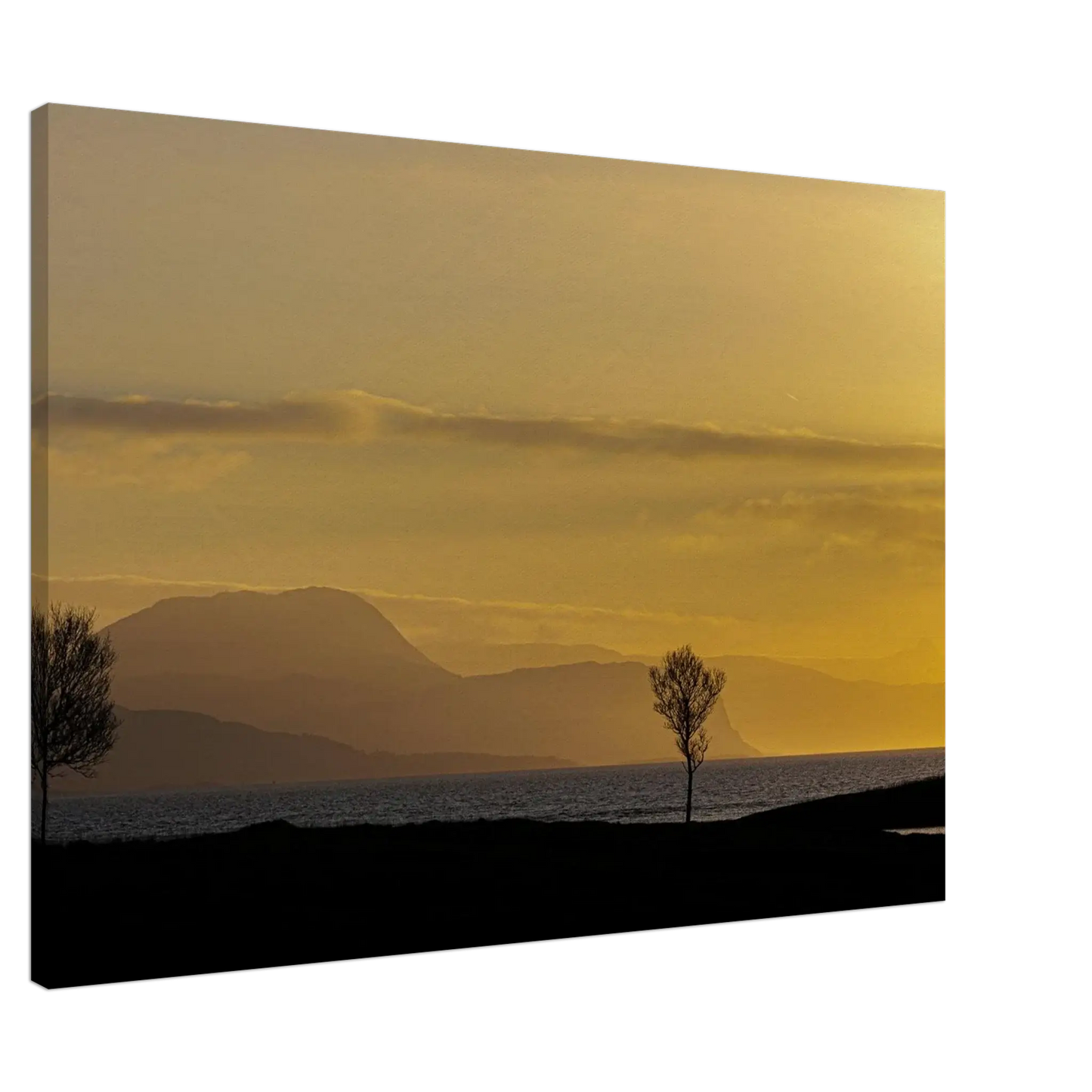 cb9a6e3c-eb37-4917-8ee2-ad0c1574b210