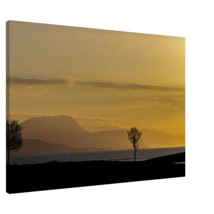 cb9a6e3c-eb37-4917-8ee2-ad0c1574b210