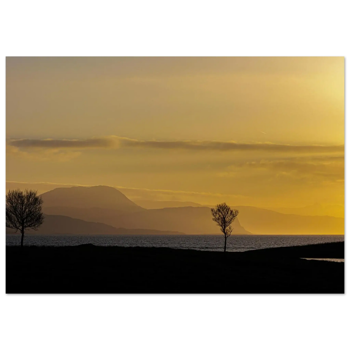 ccd5861f-309f-41c7-b962-abc94c73370d