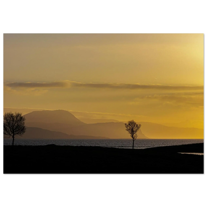 ccd5861f-309f-41c7-b962-abc94c73370d