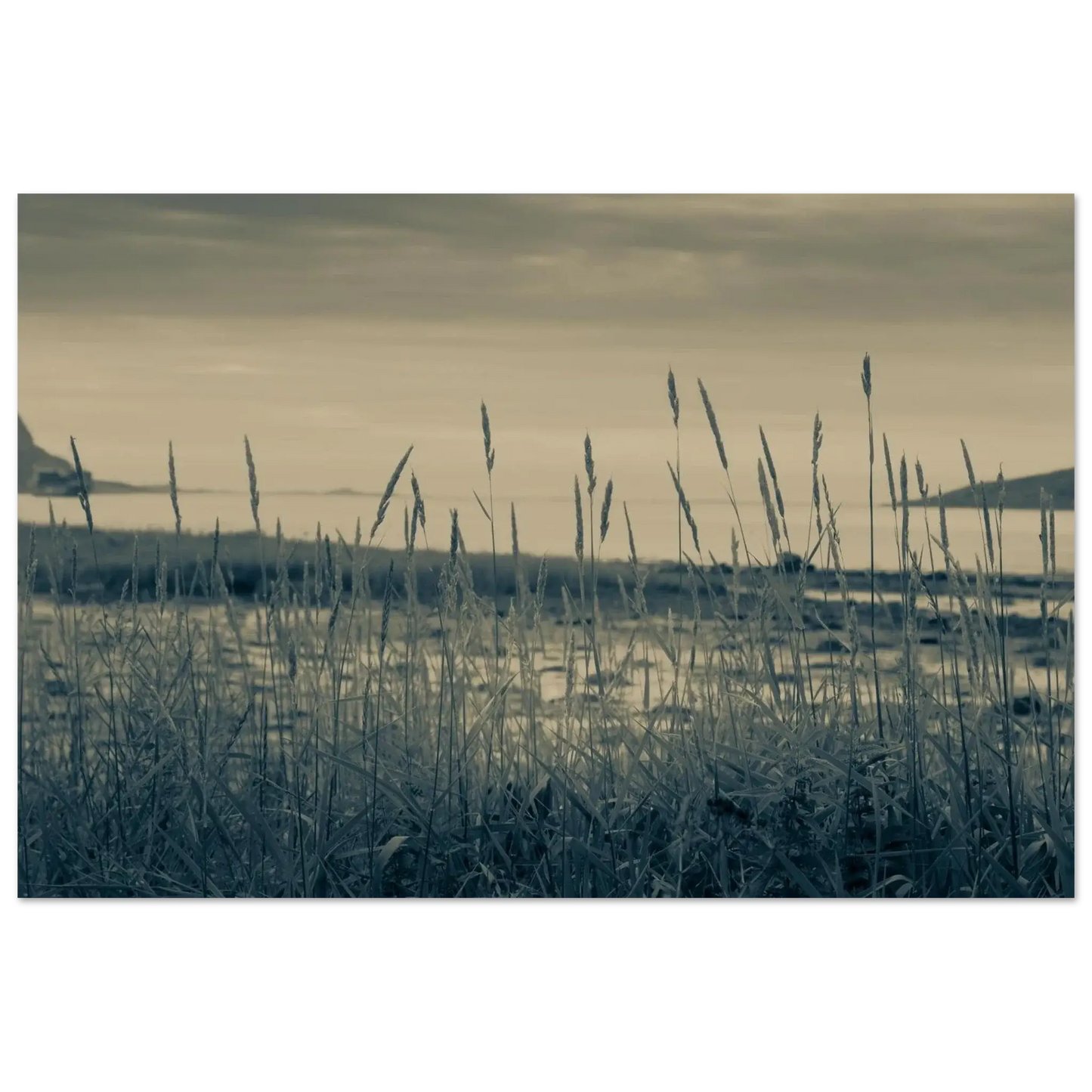 d34f1468-6056-40ce-9848-182cfca9fc5f