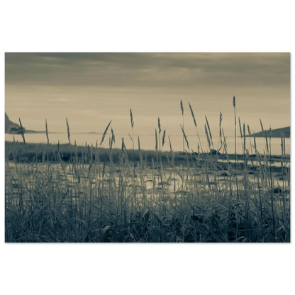 d34f1468-6056-40ce-9848-182cfca9fc5f