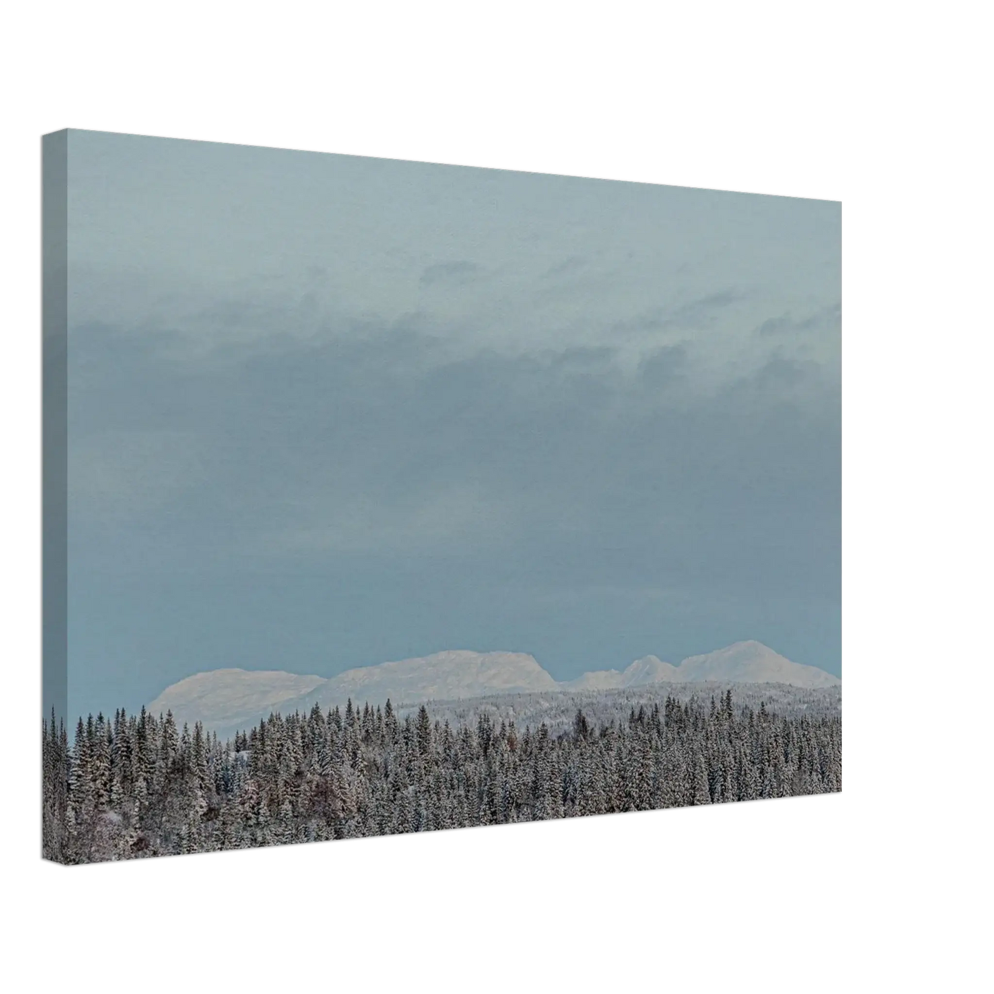 d3ab59d6-04df-4090-aa32-32e64499713a