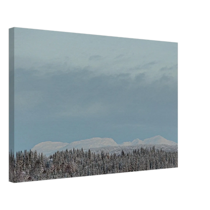 d3ab59d6-04df-4090-aa32-32e64499713a