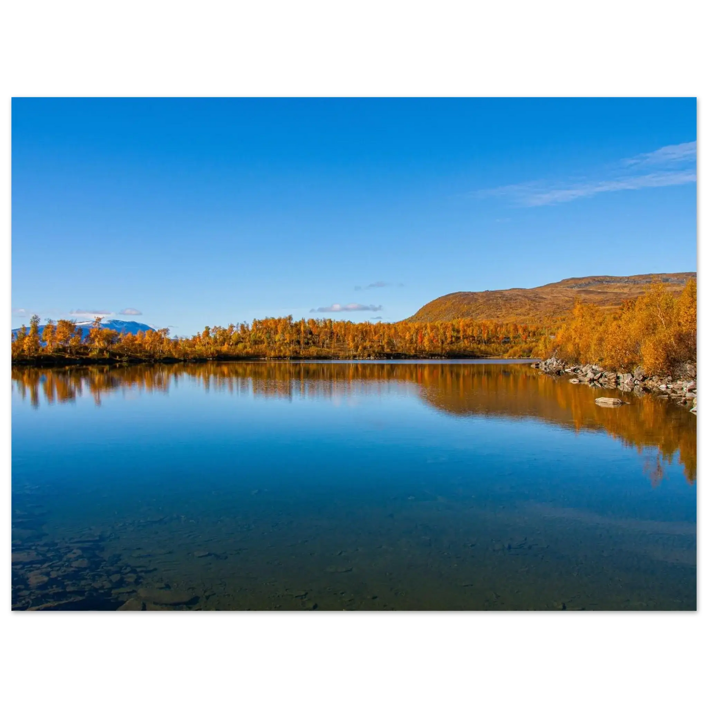 d3aec4f2-bb23-41fe-950b-e9fb086ba93c