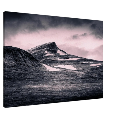 d3fc1a1e-eb20-4f01-b92b-def343baf24d