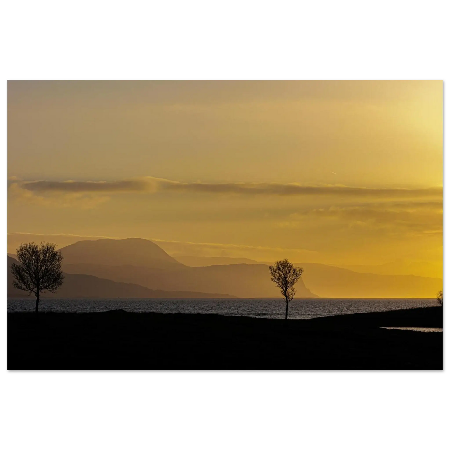 d6dacbc9-3b4b-4549-8ada-9e39ca39ce96