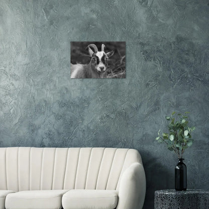 d7ffc1c1-b72c-4087-b846-da305a403b78