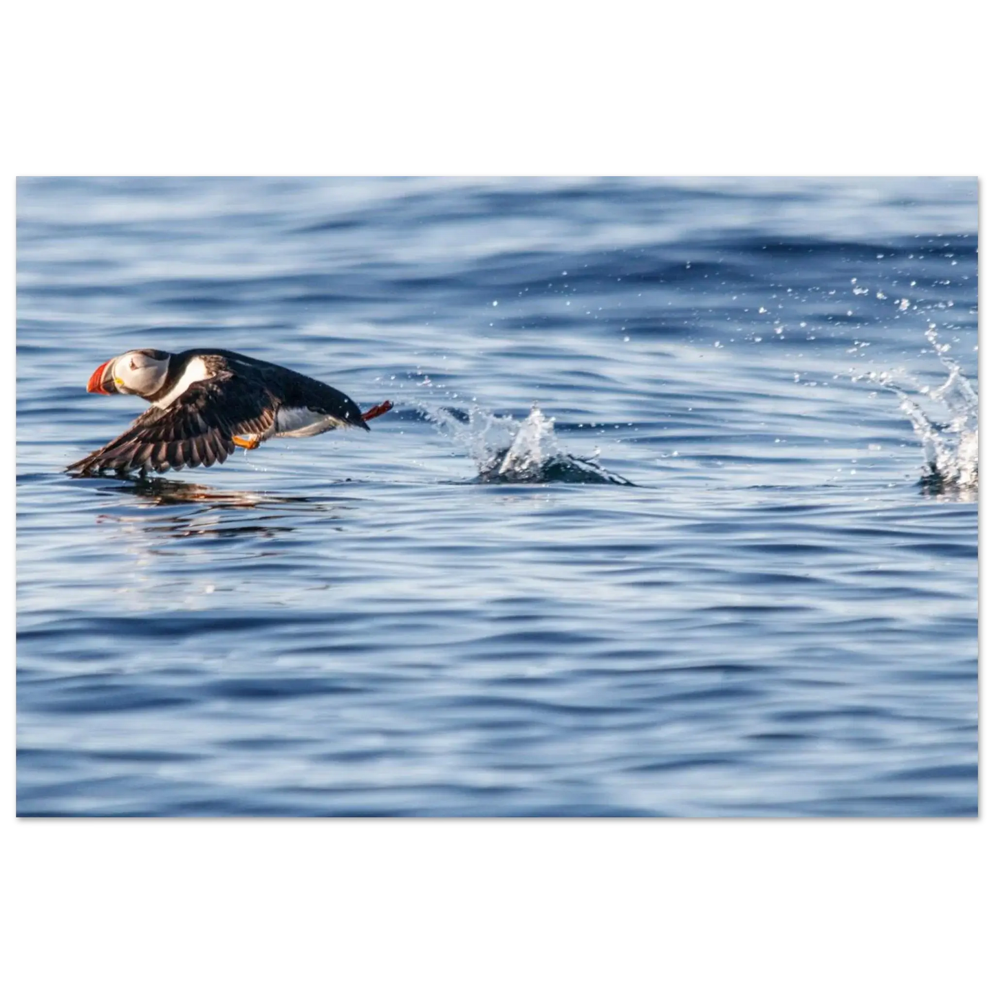 da7dbab3-df64-4ff8-b938-3bc75a92564e