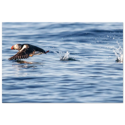 da7dbab3-df64-4ff8-b938-3bc75a92564e