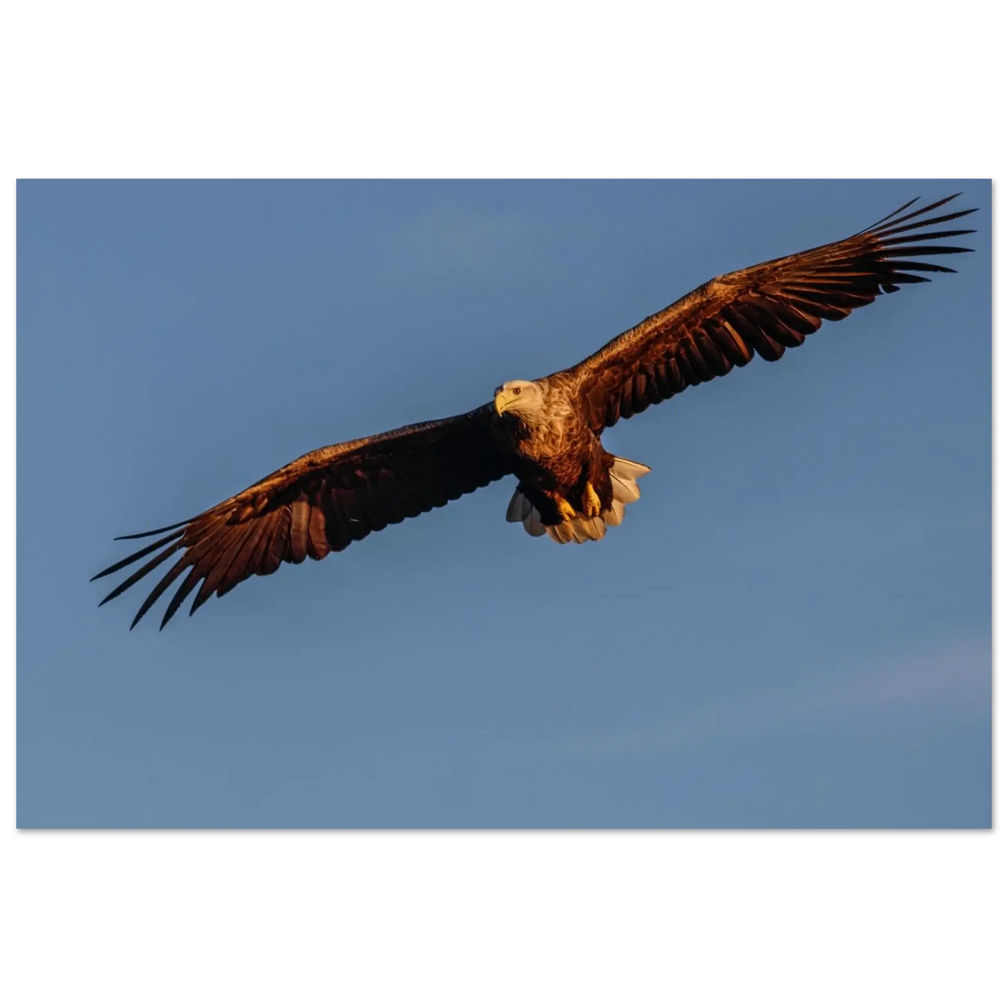 db1f7b55-b36b-425d-917d-a2677467529a