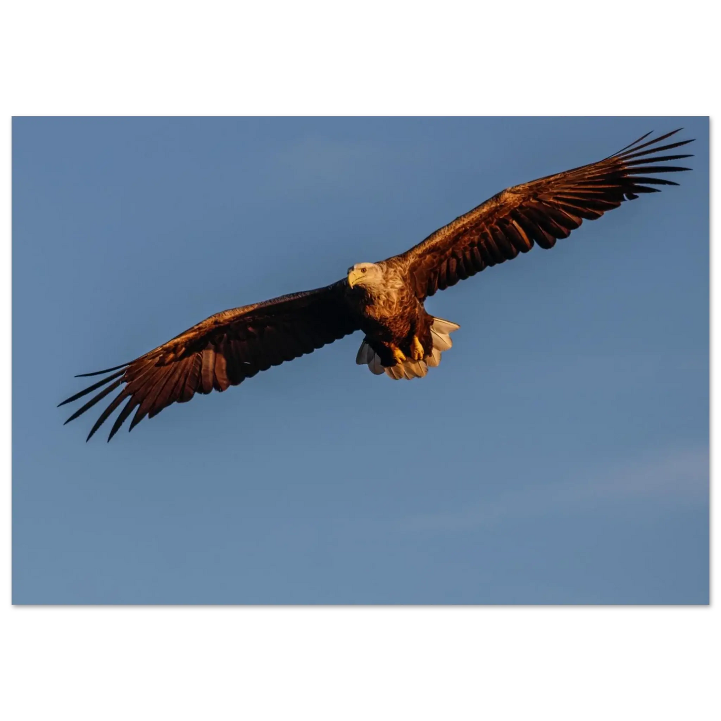 df5d1eb4-78ae-4dbd-9d6c-c7fb6517a6f4