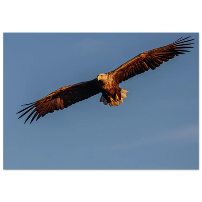 df5d1eb4-78ae-4dbd-9d6c-c7fb6517a6f4