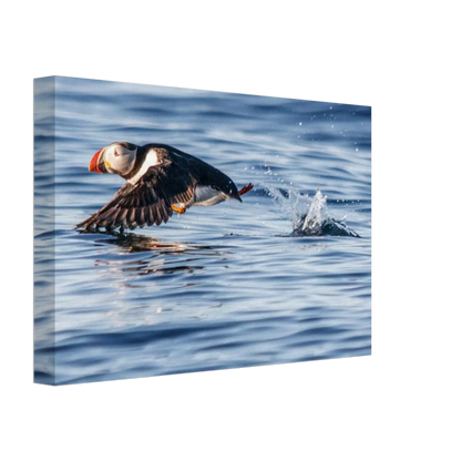 e1318363-7269-4f93-b484-cd6882810897