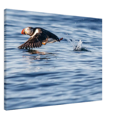 e437aa99-a939-48ad-9606-8f96d7cb1516